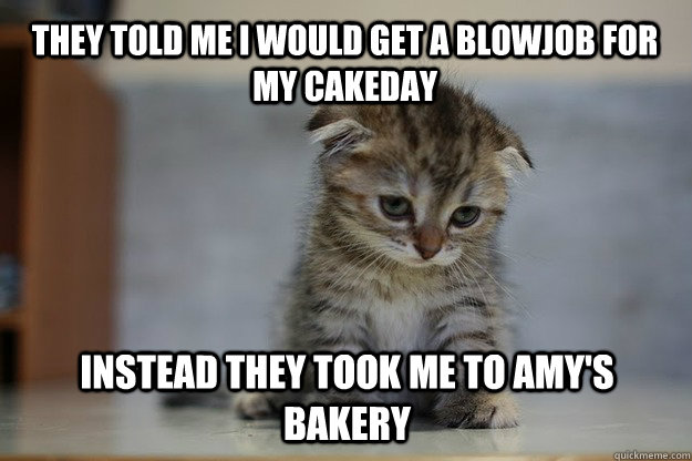 They told me I would get a blowjob for my cakeday instead they took me to Amy's Bakery  Sad Kitten