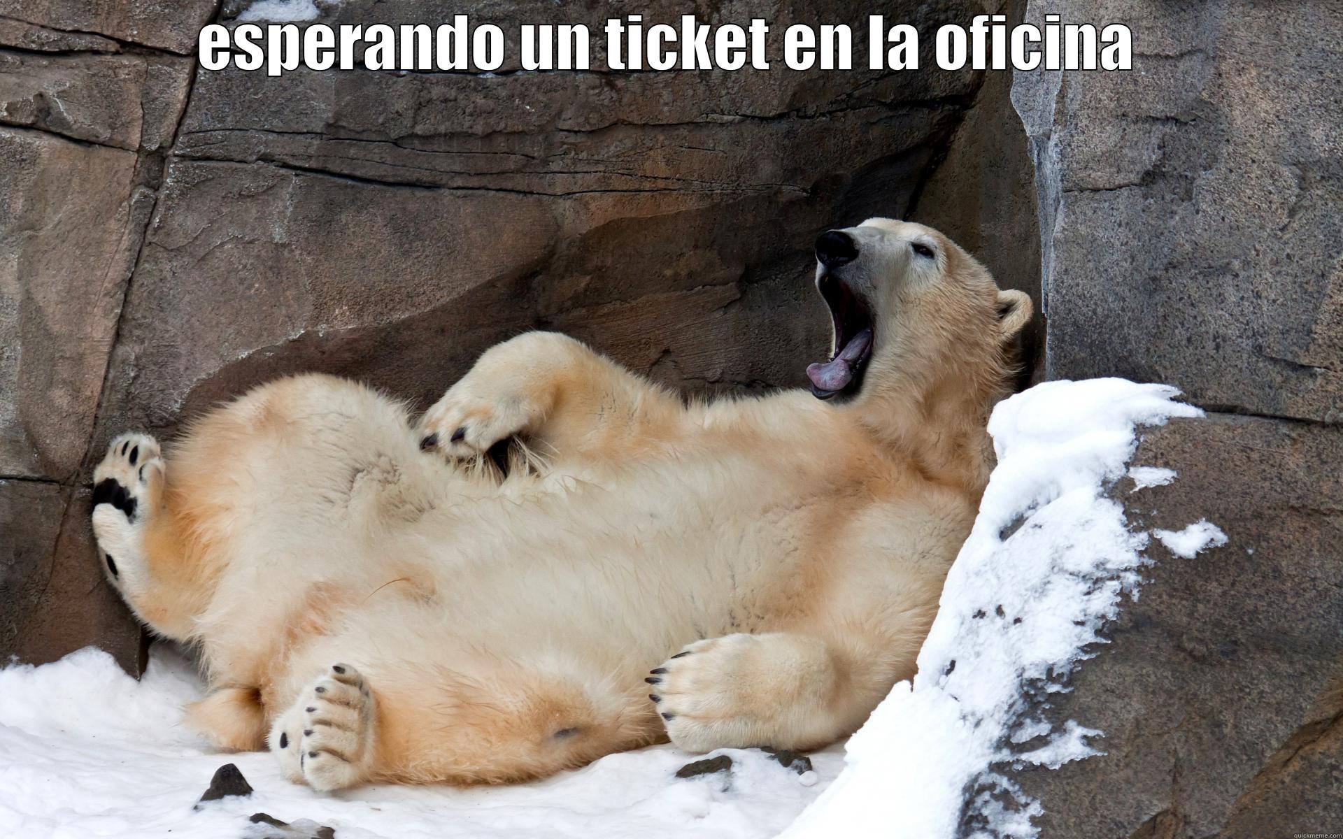 lazy bear - ESPERANDO UN TICKET EN LA OFICINA  Misc