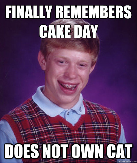 finally remembers cake day does not own cat - finally remembers cake day does not own cat  Bad Luck Brian