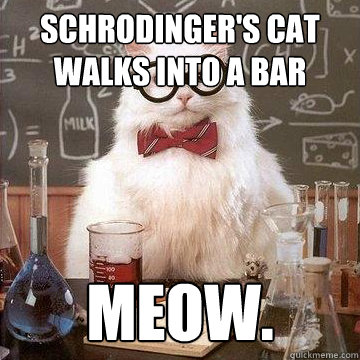 Schrodinger's cat walks into a bar meow.  - Schrodinger's cat walks into a bar meow.   lame pun chemistry cat.