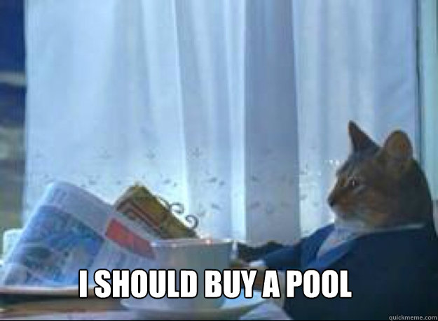 I should buy a pool   I should buy a boat cat