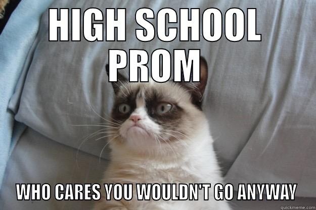 Haha Xd - HIGH SCHOOL PROM WHO CARES YOU WOULDN'T GO ANYWAY Grumpy Cat