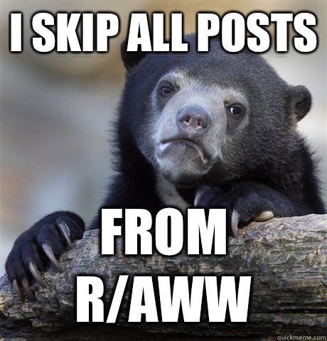 I skip all posts From r/aww  Confession Bear
