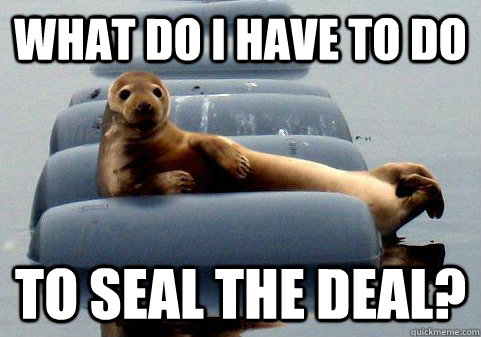 What do I have to do To Seal the deal? - What do I have to do To Seal the deal?  Misc