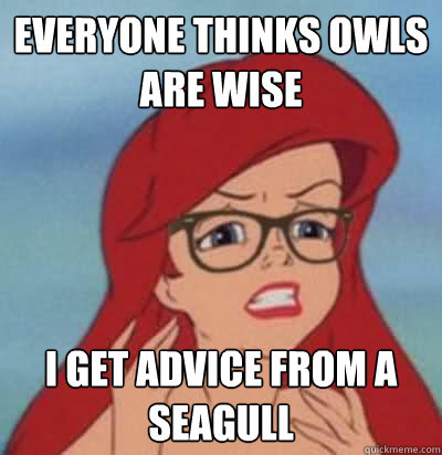 everyone thinks owls are wise i get advice from a seagull  Hipster Ariel