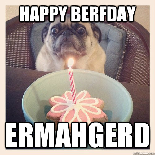 Happy Berfday ERMAHGERD  Birthday Pug