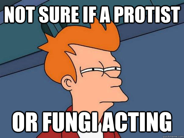 Not sure if a protist Or fungi acting - Not sure if a protist Or fungi acting  Futurama Fry