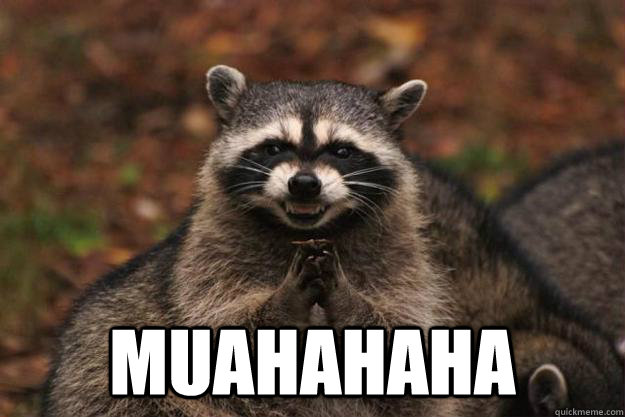  Muahahaha  Evil Plotting Raccoon