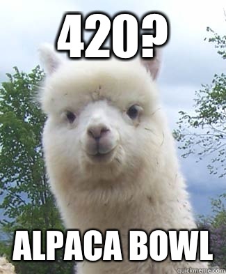 420? Alpaca bowl - 420? Alpaca bowl  Alpaca-pun Alpaca