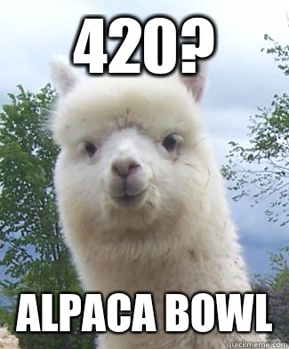 Alpaca-pun Alpaca memes | quickmeme