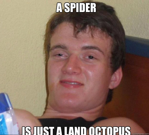 a spider is just a land octopus  10guy