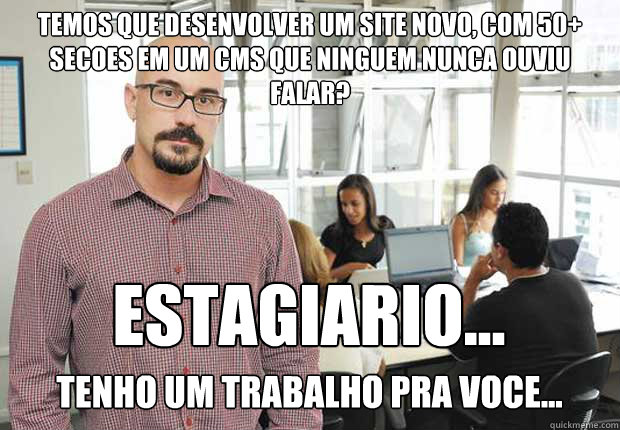 temos que desenvolver um site novo, com 50+ secoes em um CMS que ninguem nunca ouviu falar? estagiario... tenho um trabalho pra voce...  Empresario TI Brasileiro