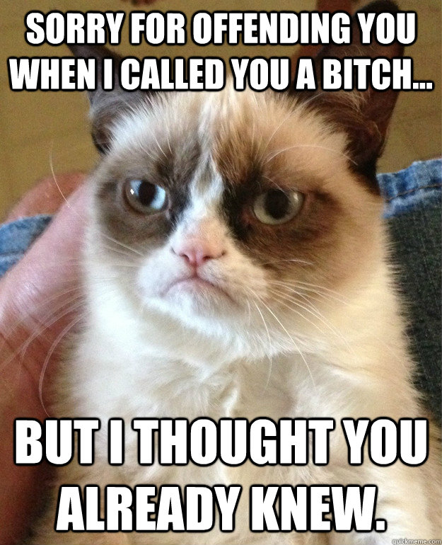 Sorry for offending you when I called you a Bitch... But I thought you already knew. - Sorry for offending you when I called you a Bitch... But I thought you already knew.  Misc