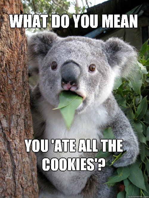 what do you mean you 'ate all the cookies'?   Shocked Koala