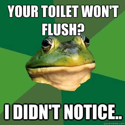 Your toilet won't flush? I didn't notice..   Foul Bachelor Frog