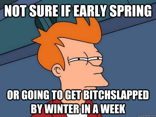 Not sure if early spring or going to get bitchslapped by winter in a week  Not sure Fry