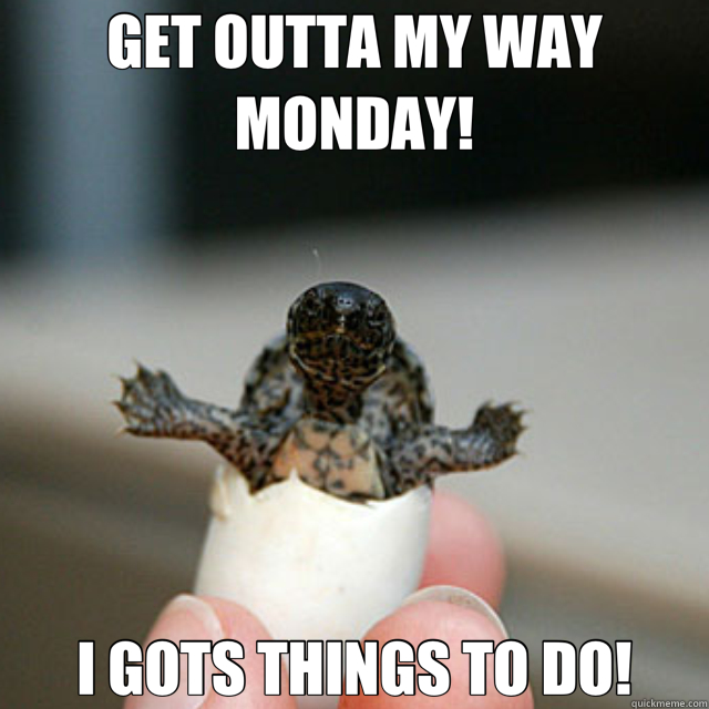 GET OUTTA MY WAY MONDAY! I GOTS THINGS TO DO!  