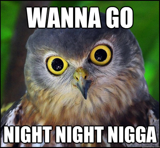 wanna go night night nigga  gangsta owl
