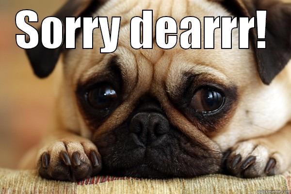 SORRY dog cute - SORRY DEARRR!  Misc