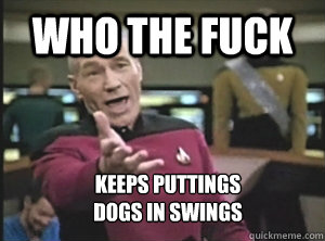 Who the fuck keeps puttings 
dogs in swings  Annoyed Picard