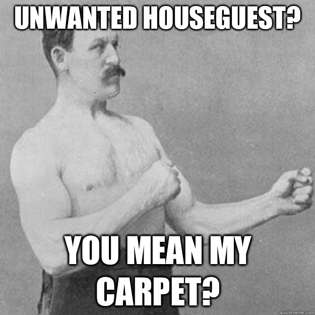Unwanted houseguest? You mean my carpet?  overly manly man