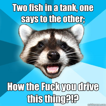 Two fish in a tank, one says to the other; How the Fuck you drive this thing?!?  Lame Pun Coon