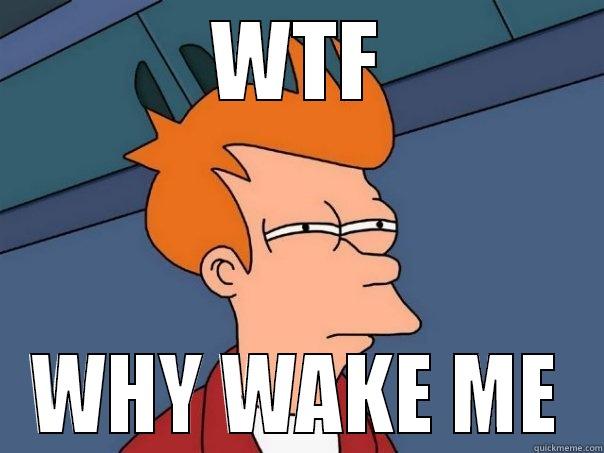 WTF WHY WAKE ME Futurama Fry
