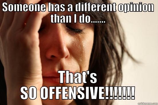 Wimpy Tears - SOMEONE HAS A DIFFERENT OPINION THAN I DO....... THAT'S SO OFFENSIVE!!!!!!! First World Problems
