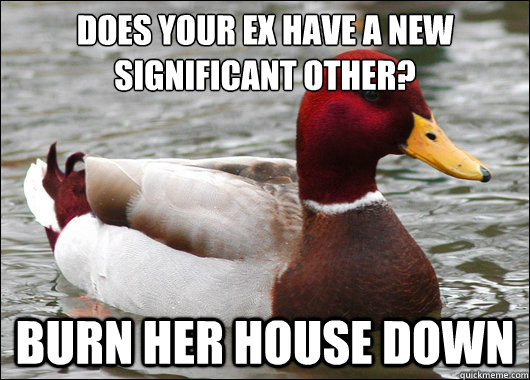 Does your ex have a new significant other?
 Burn her house down  Malicious Advice Mallard