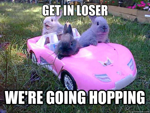 Get in loser we're going hopping - Get in loser we're going hopping  Misc