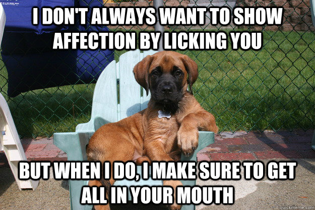 I don't always want to show affection by licking you but when i do, i make sure to get all in your mouth  The Most Interesting Dog in the World
