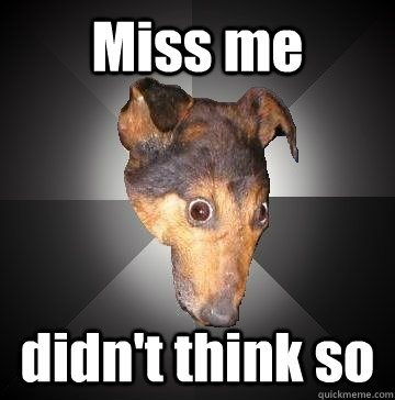 Miss me didn't think so  Depression Dog