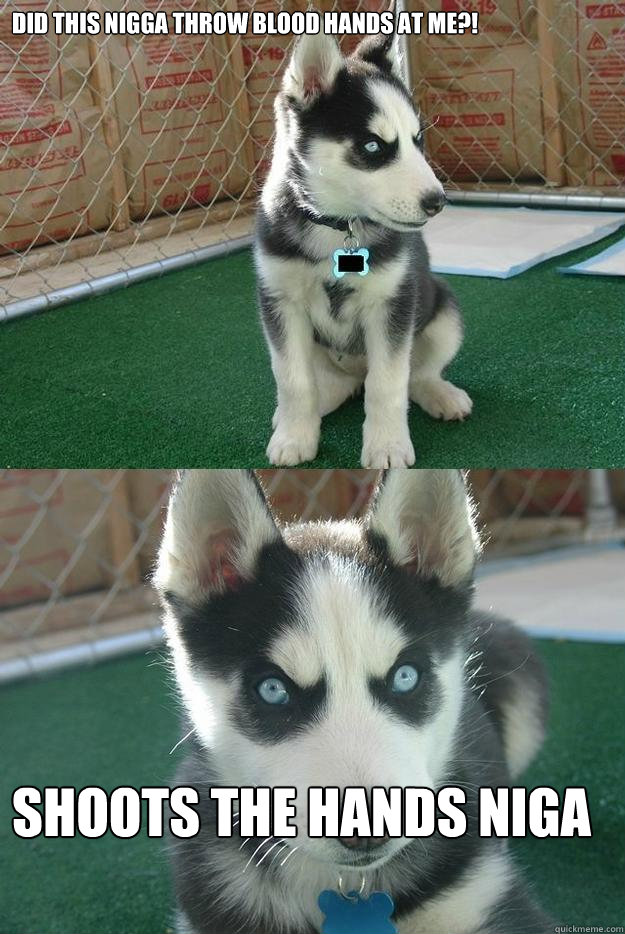 Did this nigga throw blood hands at me?! shoots the hands niga  Insanity puppy