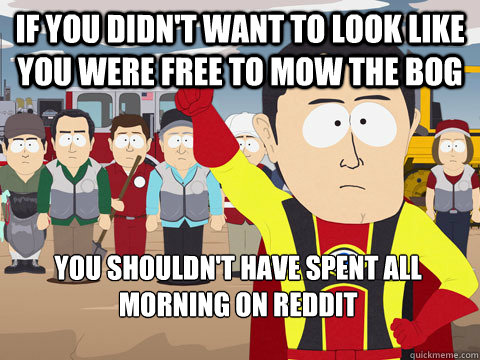 If you didn't want to look like you were free to mow the bog You shouldn't have spent all morning on Reddit   Captain Hindsight