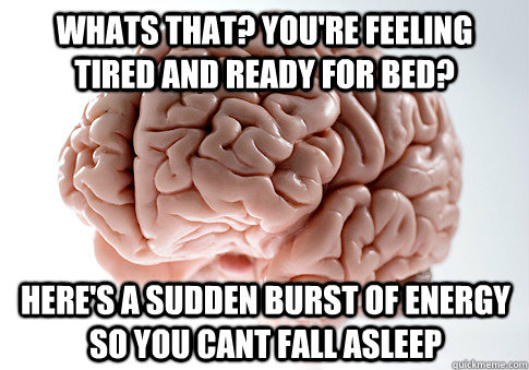 Whats that? You're feeling tired and ready for bed? Here's a sudden burst of energy so you cant fall asleep - Whats that? You're feeling tired and ready for bed? Here's a sudden burst of energy so you cant fall asleep  Scumbag Brain