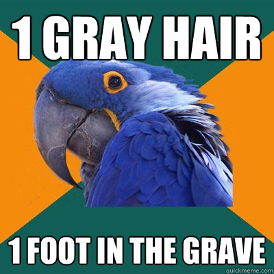 1 gray hair 1 foot in the grave - 1 gray hair 1 foot in the grave  Paranoid Parrot