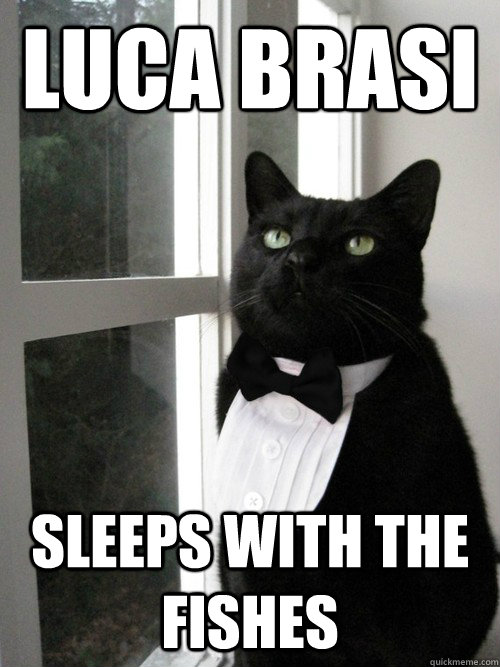 Luca Brasi Sleeps With The Fishes  One Percent Cat