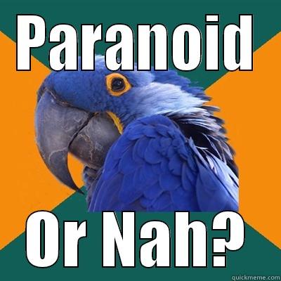 paranoid parrot - PARANOID OR NAH? Paranoid Parrot