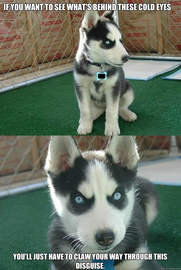 If you want to see what's behind these cold eyes You'll just have to claw your way through this disguise.  Insanity puppy