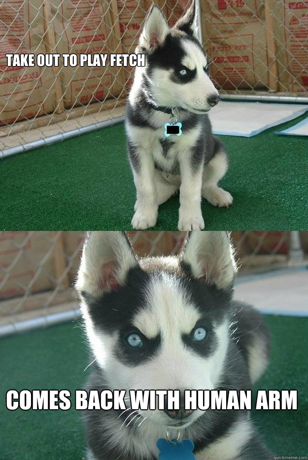 take out to play fetch comes back with human arm  Insanity puppy