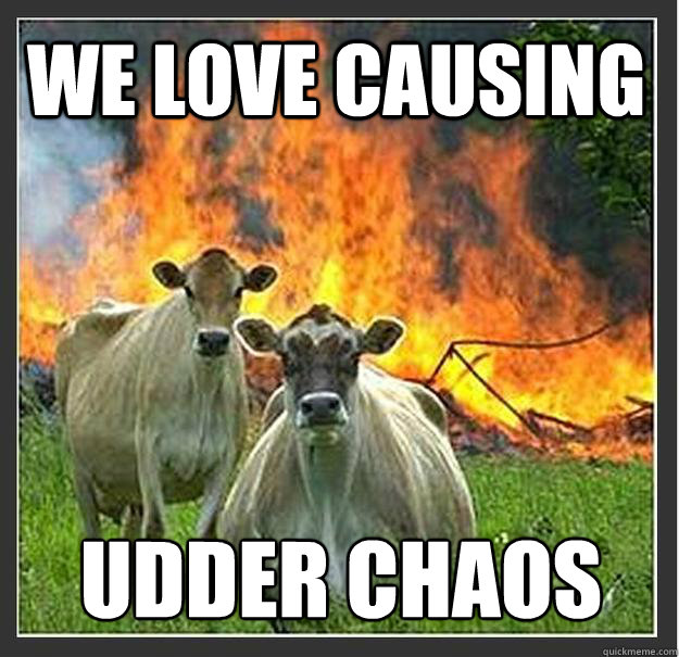 wE LOVE CAUSING Udder Chaos  Evil cows