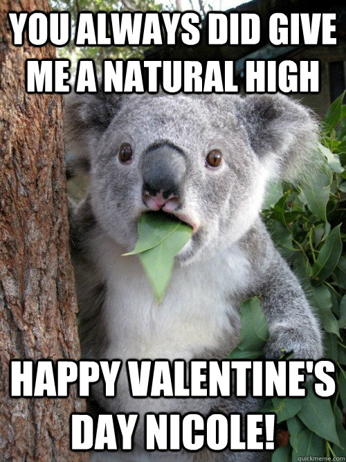 YOU ALWAYS DID GIVE ME A NATURAL HIGH HAPPY VALENTINE'S DAY NICOLE! - YOU ALWAYS DID GIVE ME A NATURAL HIGH HAPPY VALENTINE'S DAY NICOLE!  koala bear