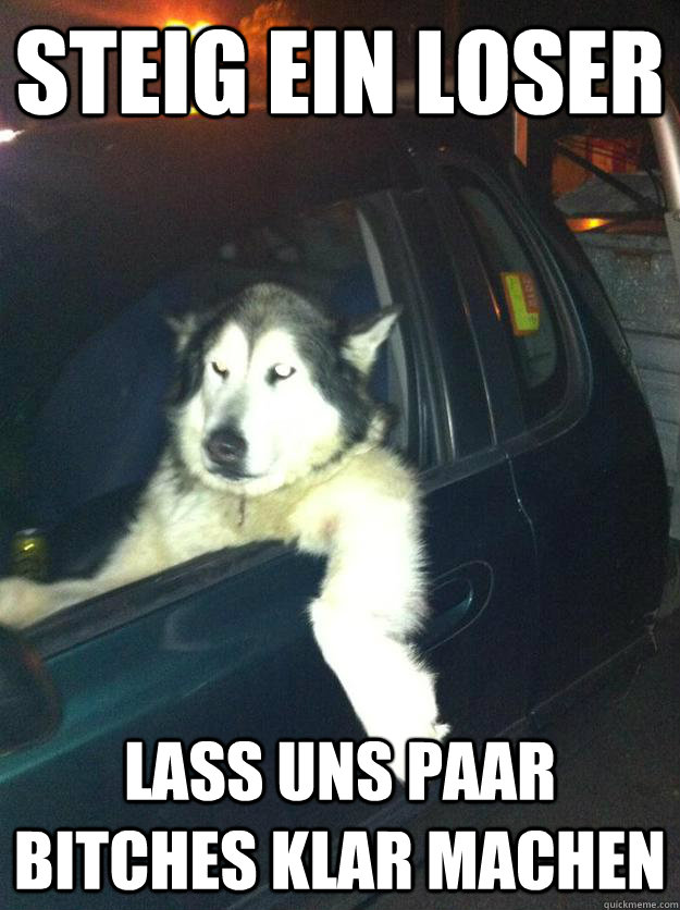 Steig ein loser lass uns paar bitches klar machen   Mean Dog