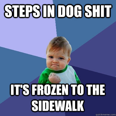 steps in dog shit it's frozen to the sidewalk  Success Kid