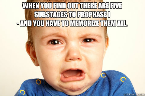When you find out there are five substages to Prophase I 
- and you have to memorize them all.  - When you find out there are five substages to Prophase I 
- and you have to memorize them all.   Memorizing Prophase I