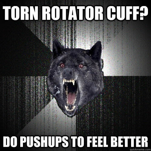 Torn rotator cuff? do pushups to feel better - Torn rotator cuff? do pushups to feel better  Insanity Wolf