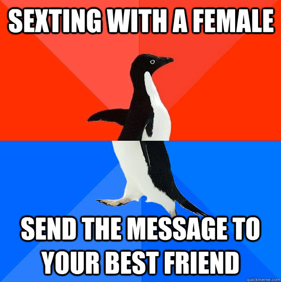 Sexting with a female send the message to your best friend   Socially Awesome Awkward Penguin