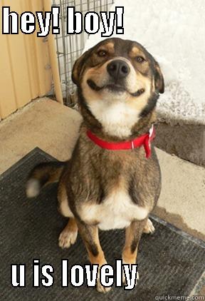 HEY! BOY!               U IS LOVELY           Good Dog Greg