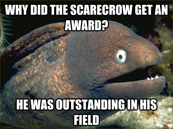 Why did the scarecrow get an award? He was outstanding in his field  Bad Joke Eel