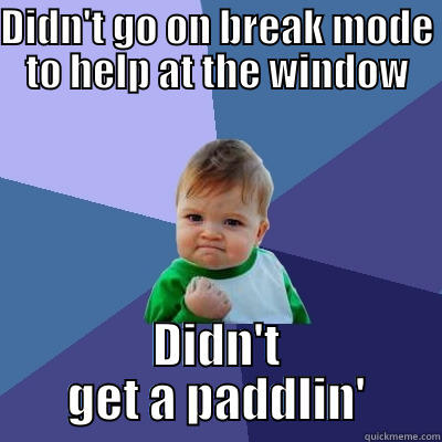 DIDN'T GO ON BREAK MODE TO HELP AT THE WINDOW DIDN'T GET A PADDLIN' Success Kid